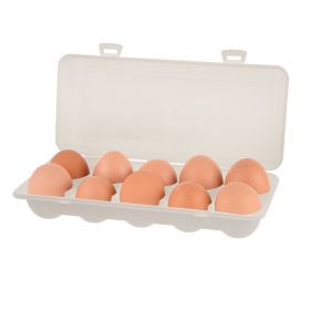 Box na vajíčka UH na 10 ks Orion