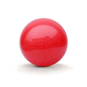 Gymnastický míč 65cm SPORTWELL