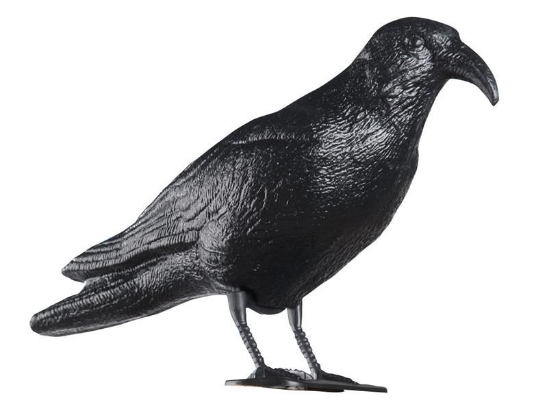 Odpuzovač holubů - maketa havrana 40 cm 263923 TORO